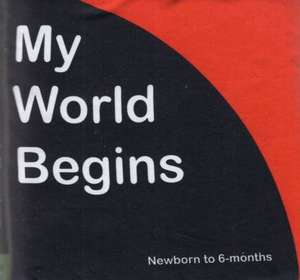 My World Begins de Molly Fields