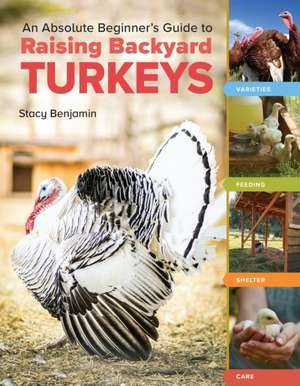 An Absolute Beginner's Guide to Raising Backyard Turkeys de Stacy Benjamin