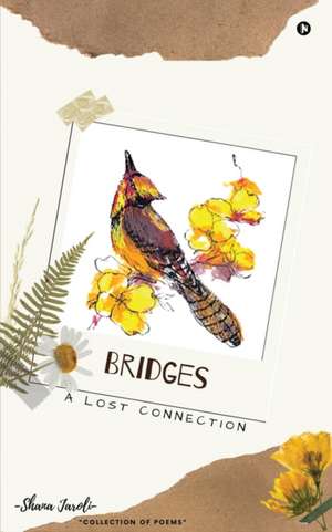 Bridges: A Lost Connection de Shana Jaroli