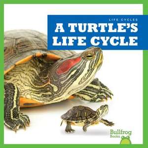 A Turtle's Life Cycle de Jamie Rice