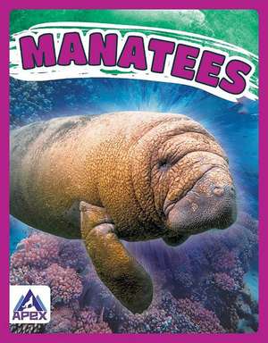 Manatees de Katie Chanez