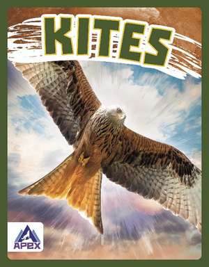 Kites de Connor Stratton