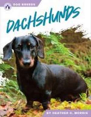Dachshunds de Heather C Morris