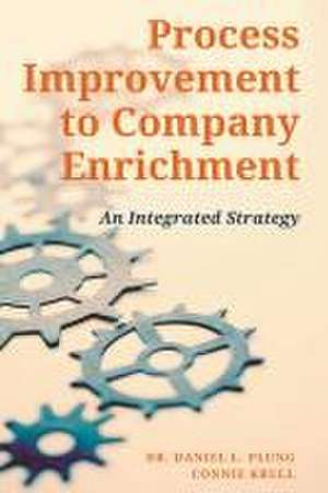 Process Improvement to Company Enrichment de Daniel Plung