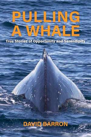 Pulling a Whale: True Stories of Opportunity and Serendipity de David Barron