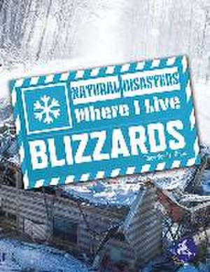 Blizzards de Tracy Vonder Brink