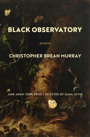 Black Observatory de Christopher Brean Murray