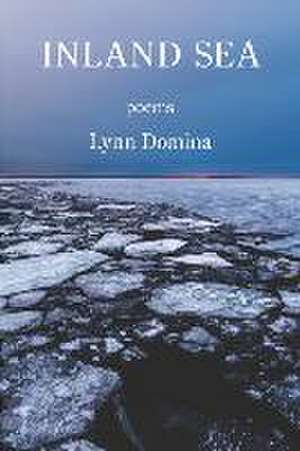 Inland Sea de Lynn Domina