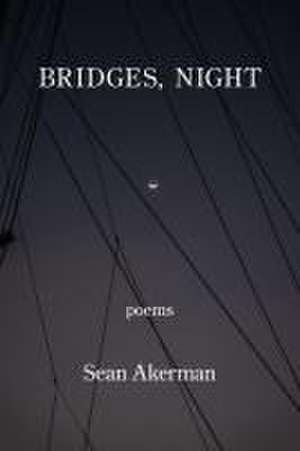 Akerman, S: Bridges, Night