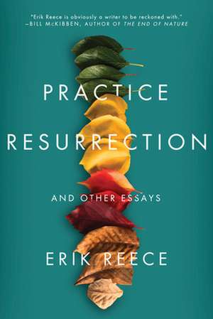 Practice Resurrection: And Other Essays