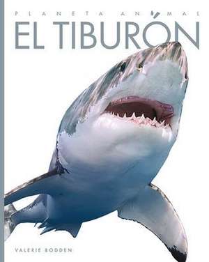 El Tiburón de Valerie Bodden