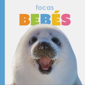 Focas Bebés de Kate Riggs