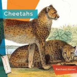 Cheetahs de Rachael Hanel