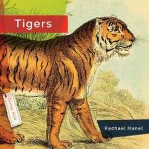 Tigers de Rachael Hanel