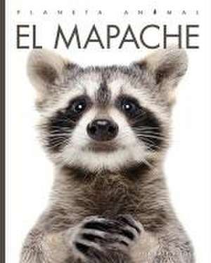 El Mapache de Valerie Bodden