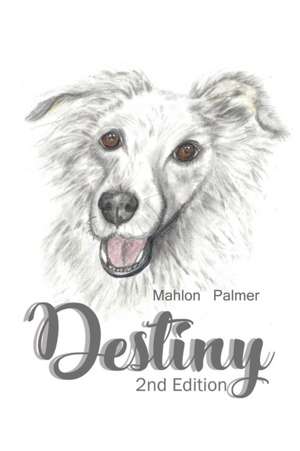 Destiny de Mahlon Palmer