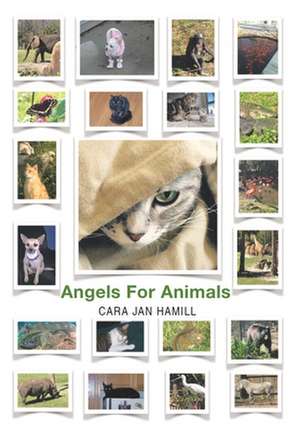 Angels for Animals de Cara Jan Hamill
