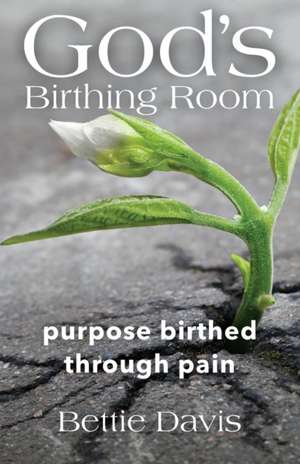 God's Birthing Room de Bettie Davis