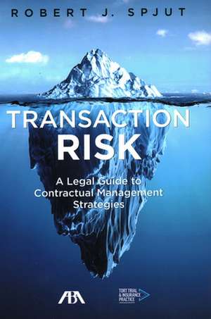 TRANSACTION RISK de Robert J Spjut