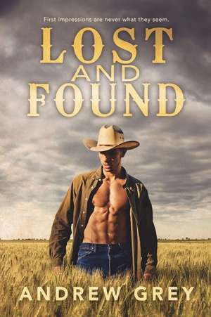 Lost and Found de Andrew Grey