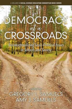 Democracy at a Crossroads de Amy J. Samuels