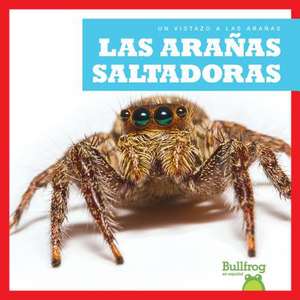 Las Aranas Saltadoras (Jumping Spiders) de Jenna Lee Gleisner