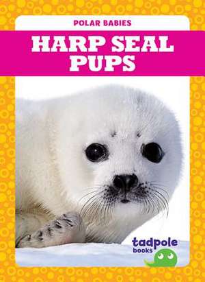 Harp Seal Pups de Genevieve Nilsen