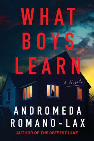 What Boys Learn de Andromeda Romano-Lax