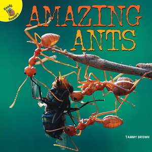 Amazing Ants de Tammy Brown