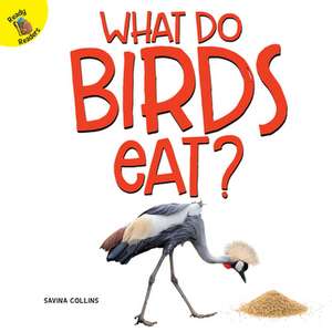 What Do Birds Eat? de Collins