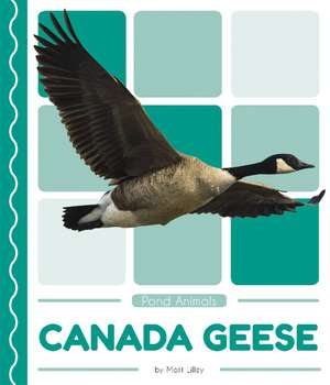 Canada Geese de Matt Lilley