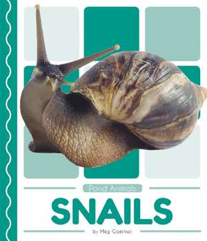 Snails de Meg Gaertner