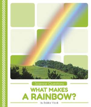 What Makes a Rainbow? de Debbie Vilardi