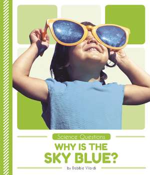 Why Is the Sky Blue? de Debbie Vilardi