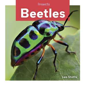 Beetles de Leo Statts