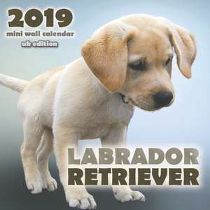 Labrador Retriever 2019 Mini Wall Calendar (UK Edition) de Over the Wall Dogs