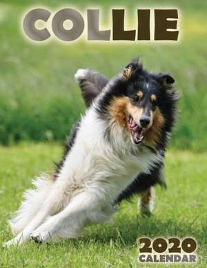 Collie 2020 Calendar de Over the Wall Dogs