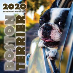 Boston Terrier 2020 Mini Wall Calendar de Over the Wall Dogs