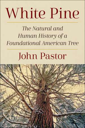 White Pine: The Natural and Human History of a Foundational American Tree de John Pastor Ph.D.