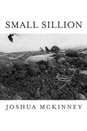 Small Sillion de Joshua Mckinney