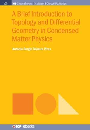 A Brief Introduction to Topology and Differential Geometry in Condensed Matter Physics de Antonio Sergio Teixeira Pires