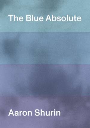 The Blue Absolute de Aaron Shurin