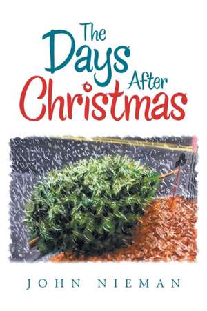 The Days After Christmas de John Nieman