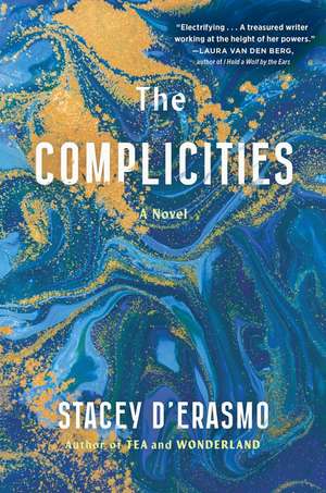 D'Erasmo, S: Complicities de Stacey D'Erasmo