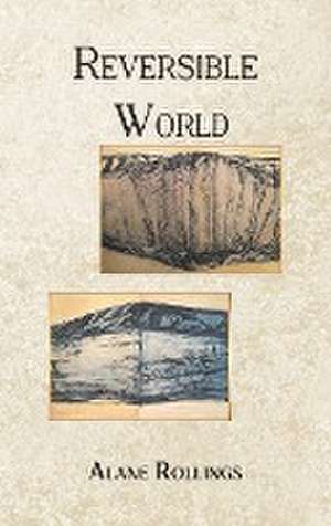 Rollings, A: Reversible World