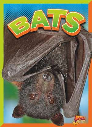 Bats de Gail Terp