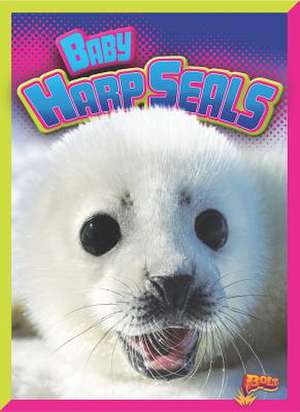 Baby Harp Seals de Christine Thomas Alderman