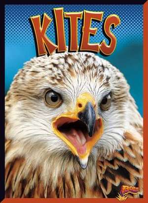 Kites de Janet Davis-Castro