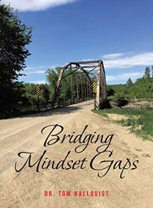 Bridging Mindset Gaps de Tom Hallquist