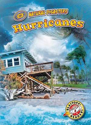 Hurricanes de Betsy Rathburn